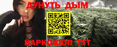 прущие крисы Будённовск