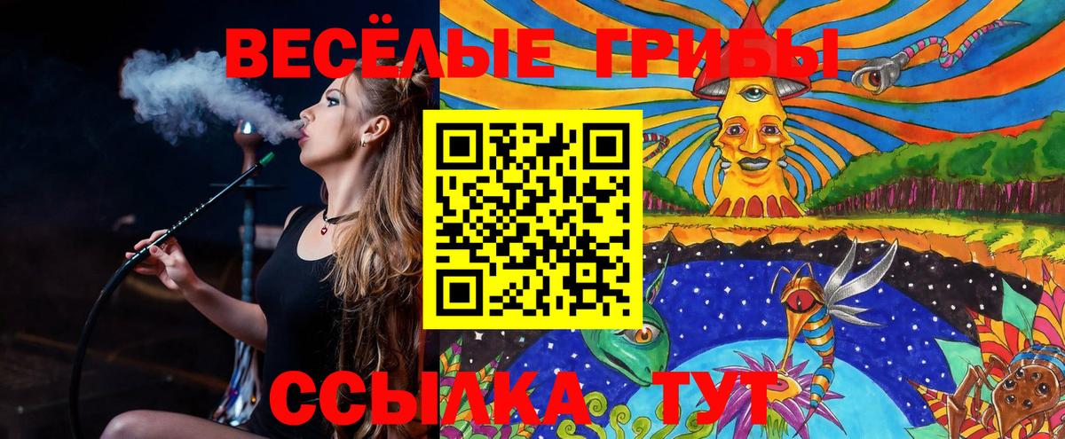 Псилоцибиновые грибы Psilocybe Чебаркуль