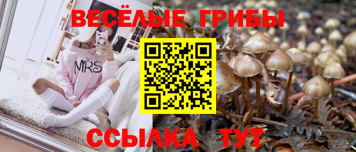 Галлюциногенные грибы MAGIC MUSHROOMS  Вход с VPN  Чебаркуль 